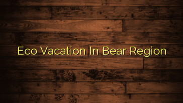 Eco Vacation In Bear Region