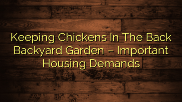 Keeping Chickens In The Back Backyard Garden – Important Housing Demands