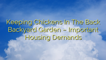 Keeping Chickens In The Back Backyard Garden – Important Housing Demands