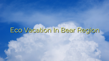 Eco Vacation In Bear Region