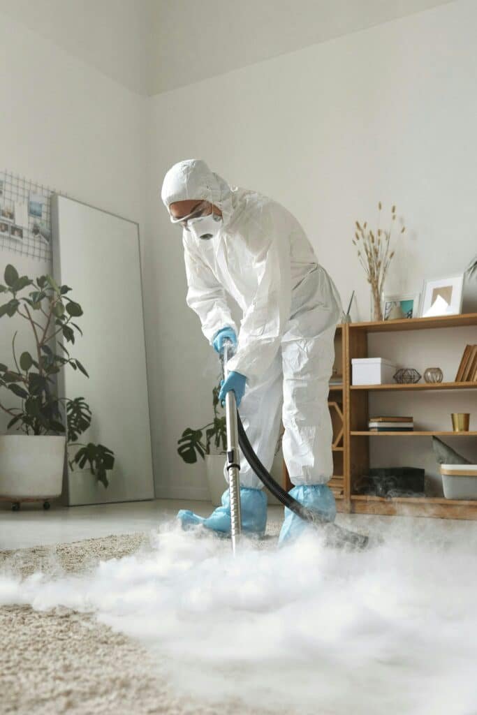 carpet cleaning ipswich