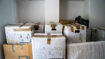 Everything You Need to Know About Removals and Storage